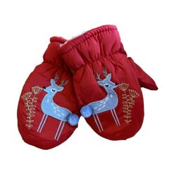 2-4 Yaş Kar ve Kayak Eldiveni