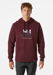 HELLY HANSEN ARCTIC OCEAN HOODIE KAPİŞONLU S - BORDO